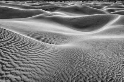 Picture of MESQUITE DUNES-DEATH VALLEY NATIONAL PARK-CALIFORNIA