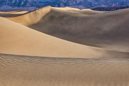 Picture of MESQUITE DUNES-DEATH VALLEY NATIONAL PARK-CALIFORNIA
