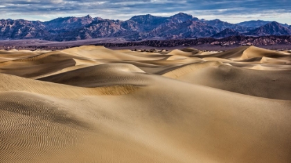 Picture of MESQUITE DUNES-DEATH VALLEY NATIONAL PARK-CALIFORNIA