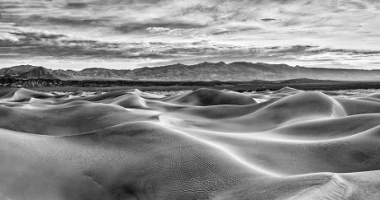 Picture of MESQUITE DUNES-DEATH VALLEY NATIONAL PARK-CALIFORNIA