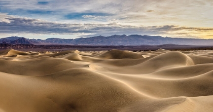 Picture of MESQUITE DUNES-DEATH VALLEY NATIONAL PARK-CALIFORNIA