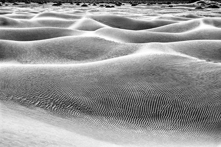 Picture of MESQUITE DUNES-DEATH VALLEY NATIONAL PARK-CALIFORNIA