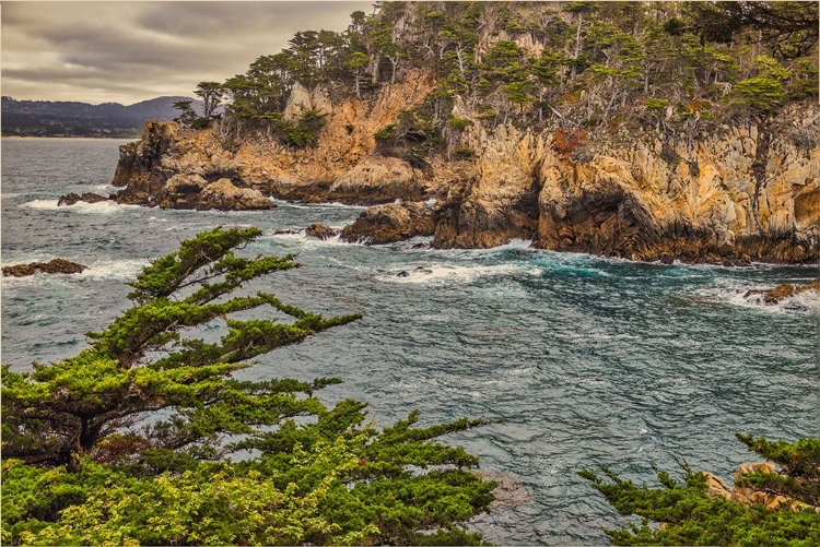 Picture of POINT LOBOS-CARMEL-CALIFORNIA