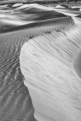 Picture of MESQUITE DUNES-DEATH VALLEY NATIONAL PARK-CALIFORNIA