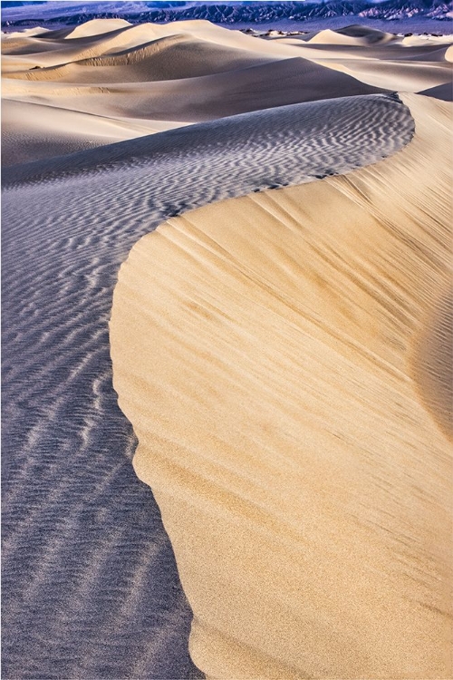 Picture of MESQUITE DUNES-DEATH VALLEY NATIONAL PARK-CALIFORNIA