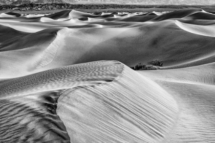 Picture of MESQUITE DUNES-DEATH VALLEY NATIONAL PARK-CALIFORNIA