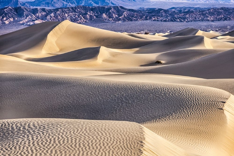 Picture of MESQUITE DUNES-DEATH VALLEY NATIONAL PARK-CALIFORNIA