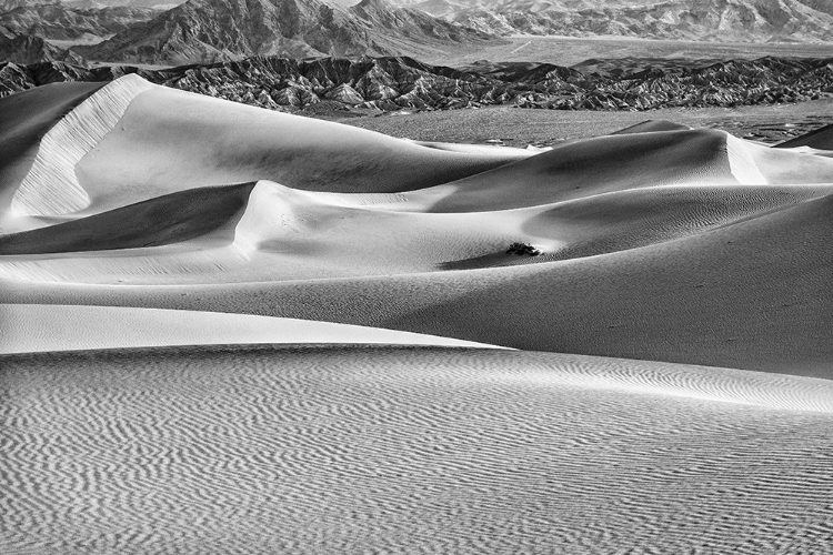 Picture of MESQUITE DUNES-DEATH VALLEY NATIONAL PARK-CALIFORNIA