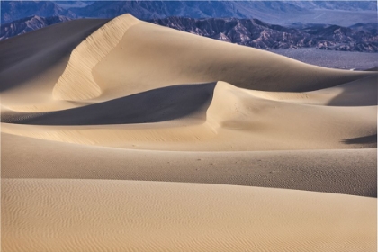 Picture of MESQUITE DUNES-DEATH VALLEY NATIONAL PARK-CALIFORNIA