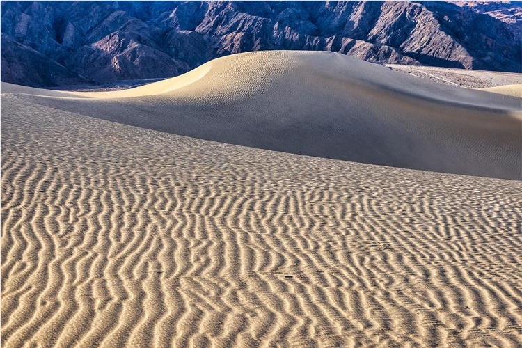 Picture of MESQUITE DUNES-DEATH VALLEY NATIONAL PARK-CALIFORNIA