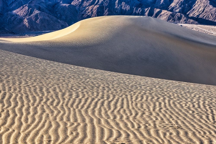 Picture of MESQUITE DUNES-DEATH VALLEY NATIONAL PARK-CALIFORNIA