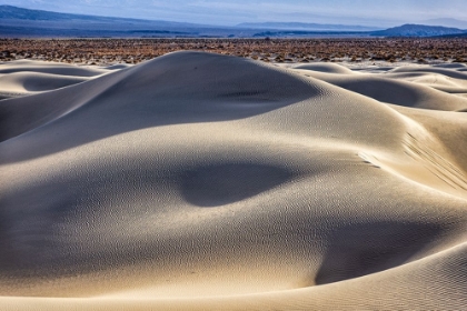 Picture of MESQUITE DUNES-DEATH VALLEY NATIONAL PARK-CALIFORNIA