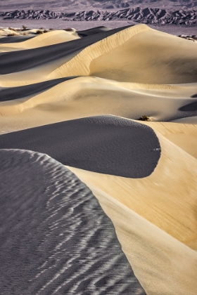 Picture of MESQUITE DUNES-DEATH VALLEY NATIONAL PARK-CALIFORNIA