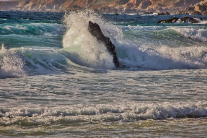 Picture of GARAPATA BEACH-CARMEL BY THE SEA-CALIFORNIA