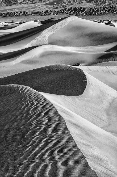 Picture of MESQUITE DUNES-DEATH VALLEY NATIONAL PARK-CALIFORNIA