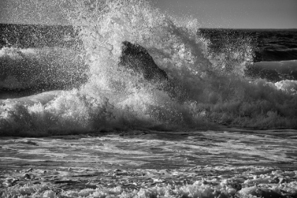 Picture of GARAPATA BEACH-CARMEL BY THE SEA-CALIFORNIA