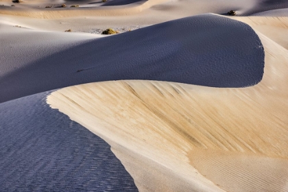 Picture of MESQUITE DUNES-DEATH VALLEY NATIONAL PARK-CALIFORNIA