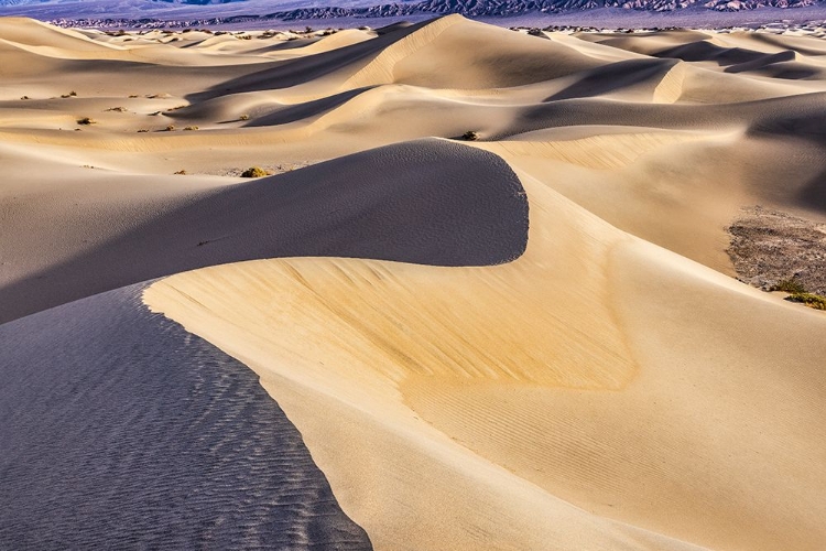 Picture of MESQUITE DUNES-DEATH VALLEY NATIONAL PARK-CALIFORNIA