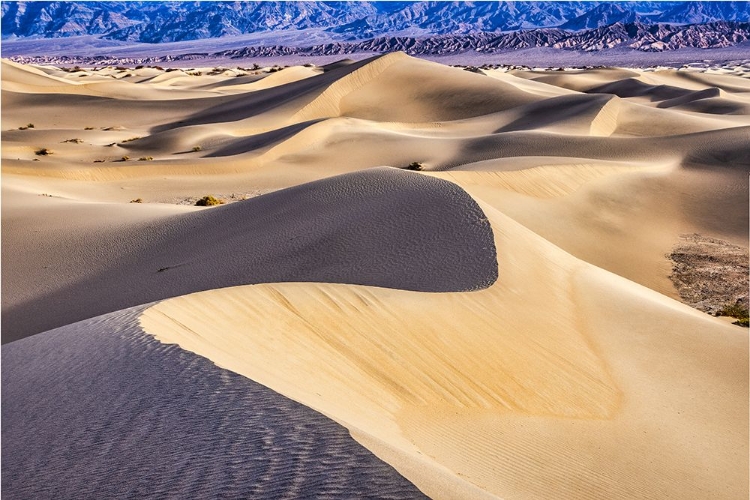 Picture of MESQUITE DUNES-DEATH VALLEY NATIONAL PARK-CALIFORNIA