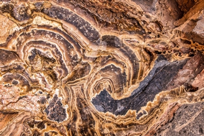 Picture of MARBLE ABSTRACT-TITUS CANYON-DEATH VALLEY