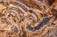 Picture of MARBLE ABSTRACT-TITUS CANYON-DEATH VALLEY