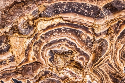 Picture of MARBLE ABSTRACT-TITUS CANYON-DEATH VALLEY