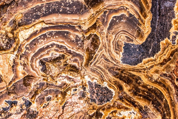 Picture of MARBLE ABSTRACT-TITUS CANYON-DEATH VALLEY