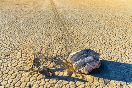 Picture of RACE TRACK ROCKS-DEATH VALLEY-CALIFORNIA