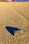 Picture of RACE TRACK ROCKS-DEATH VALLEY-CALIFORNIA