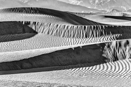 Picture of MESQUITE DUNES-DEATH VALLEY NATIONAL PARK-CALIFORNIA
