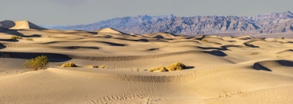 Picture of MESQUITE DUNES-DEATH VALLEY NATIONAL PARK-CALIFORNIA