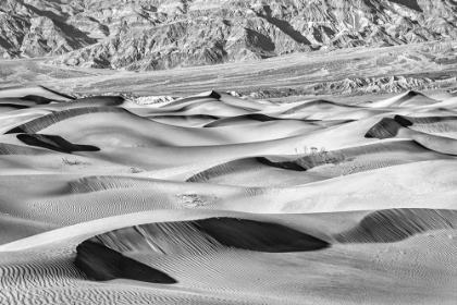 Picture of MESQUITE DUNES-DEATH VALLEY NATIONAL PARK-CALIFORNIA