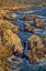 Picture of GARAPATA BEACH-CARMEL BY THE SEA-CALIFORNIA