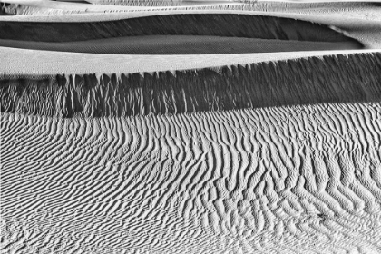 Picture of MESQUITE DUNES-DEATH VALLEY NATIONAL PARK-CALIFORNIA