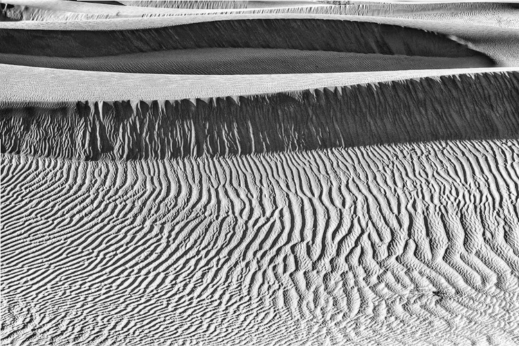 Picture of MESQUITE DUNES-DEATH VALLEY NATIONAL PARK-CALIFORNIA