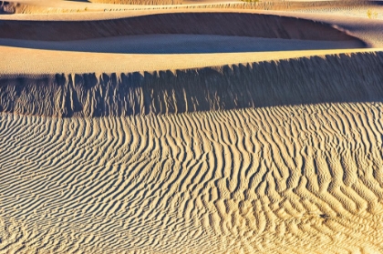 Picture of MESQUITE DUNES-DEATH VALLEY NATIONAL PARK-CALIFORNIA