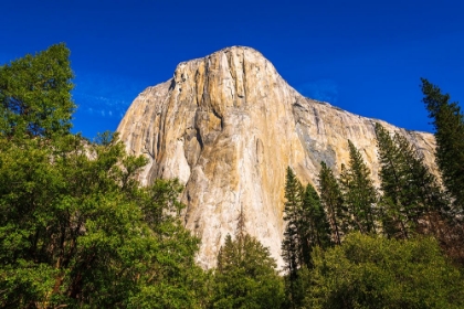 Picture of EL CAPITAN-YOSEMITE VALLEY-YOSEMITE NATIONAL PARK-CALIFORNIA-USA