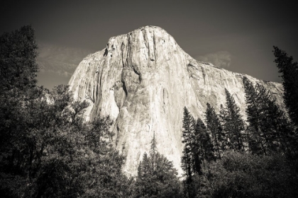 Picture of EL CAPITAN-YOSEMITE VALLEY-YOSEMITE NATIONAL PARK-CALIFORNIA-USA