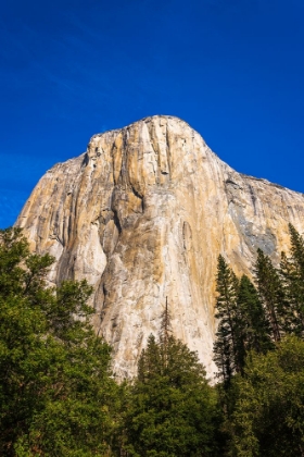 Picture of EL CAPITAN-YOSEMITE VALLEY-YOSEMITE NATIONAL PARK-CALIFORNIA-USA