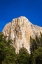 Picture of EL CAPITAN-YOSEMITE VALLEY-YOSEMITE NATIONAL PARK-CALIFORNIA-USA