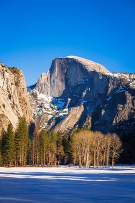 Picture of AFTERNOON LIGHT ON HALF DOME IN WINTER-YOSEMITE NATIONAL PARK-CALIFORNIA-USA