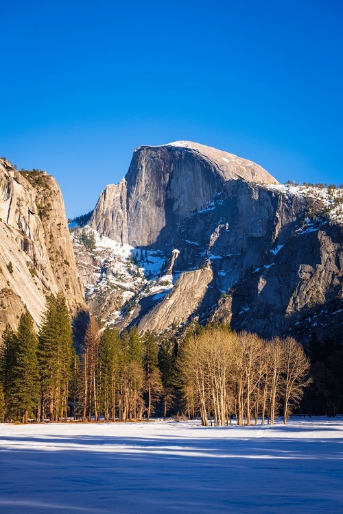 Picture of AFTERNOON LIGHT ON HALF DOME IN WINTER-YOSEMITE NATIONAL PARK-CALIFORNIA-USA
