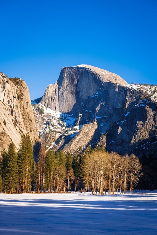 Picture of AFTERNOON LIGHT ON HALF DOME IN WINTER-YOSEMITE NATIONAL PARK-CALIFORNIA-USA