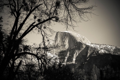 Picture of AFTERNOON LIGHT ON HALF DOME IN WINTER-YOSEMITE NATIONAL PARK-CALIFORNIA-USA