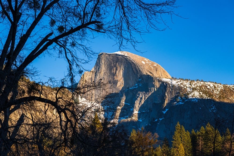 Picture of AFTERNOON LIGHT ON HALF DOME IN WINTER-YOSEMITE NATIONAL PARK-CALIFORNIA-USA