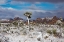 Picture of WINTER STORM-JOSHUA TREE NATIONAL PARK-CALIFORNIA