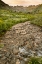 Picture of USA-COLORADO MOUNTAIN LANDSCAPE WITH WILDFLOWERS AND STREAM