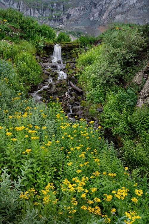 Picture of USA-COLORADO-UNCOMPAHGRE NATIONAL FOREST MOUNTAIN LANDSCAPE WITH WATERFALL AND WILDFLOWERS