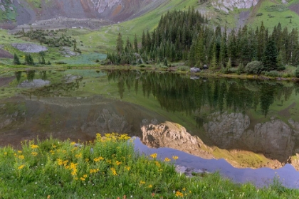 Picture of USA-COLORADO-UNCOMPAHGRE NATIONAL FOREST MOUNTAIN WILDFLOWERS AND POND LANDSCAPE