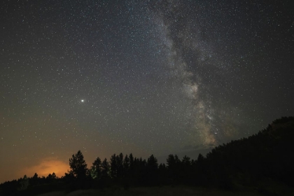 Picture of USA-COLORADO-ELEVEN MILE CANYON THE MILKY WAY GALAXY AND FOREST SILHOUETTE AT NIGHT